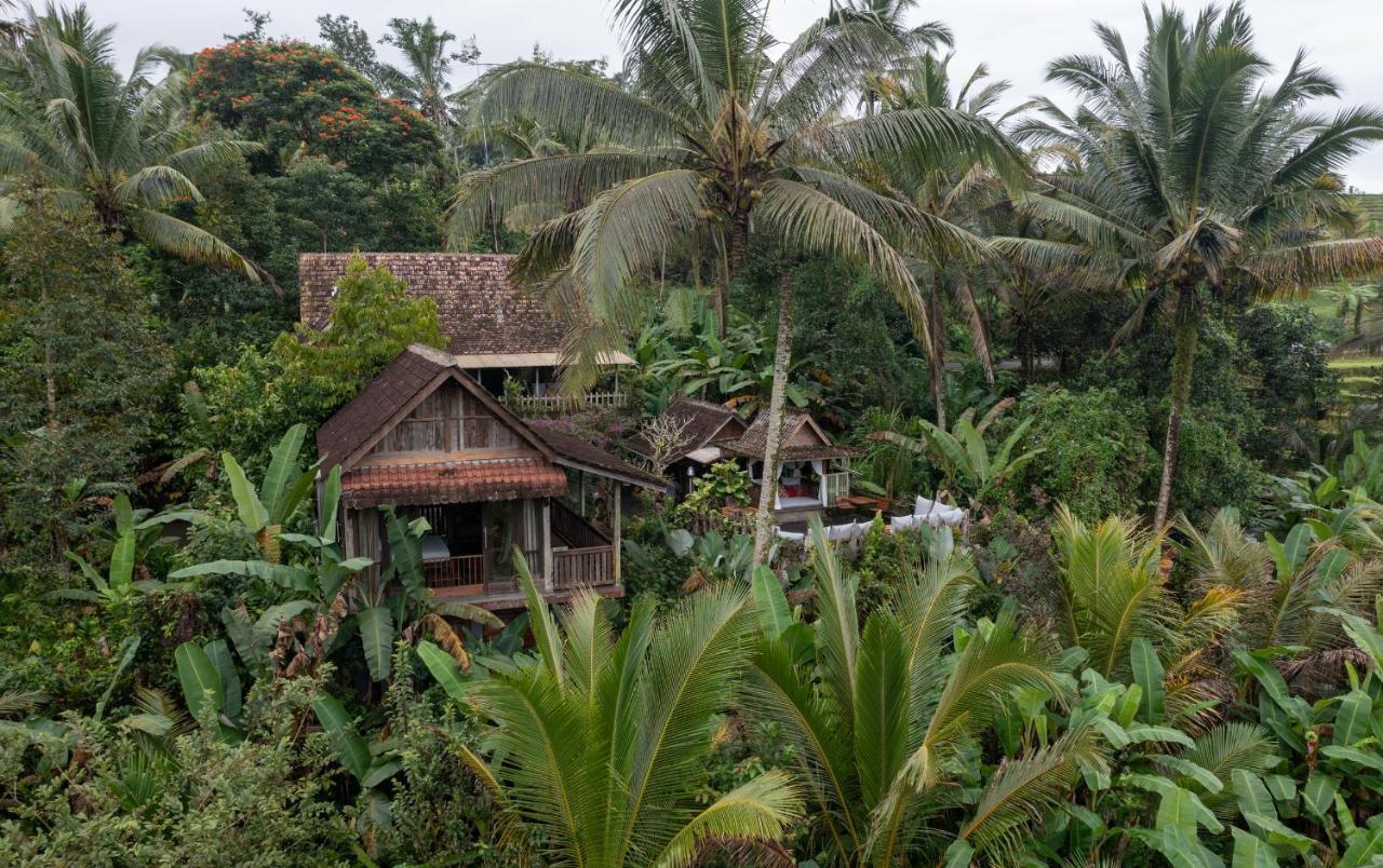Vila Niente Bali Penebel Exteriér fotografie