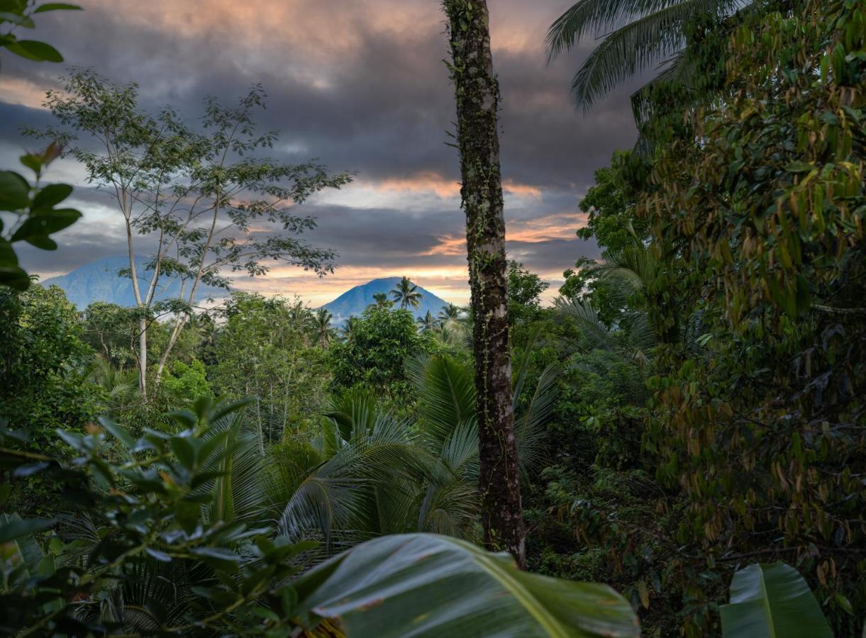 Vila Niente Bali Penebel Exteriér fotografie